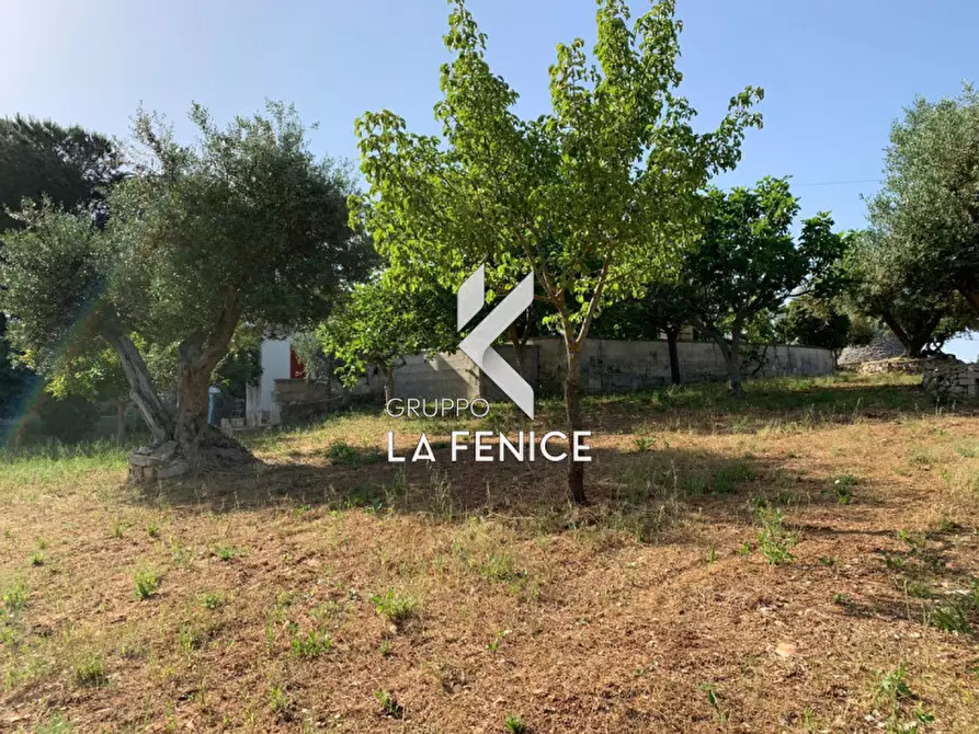 Immagine 12 di Rustico / casale in vendita  in contrada Contini a Locorotondo