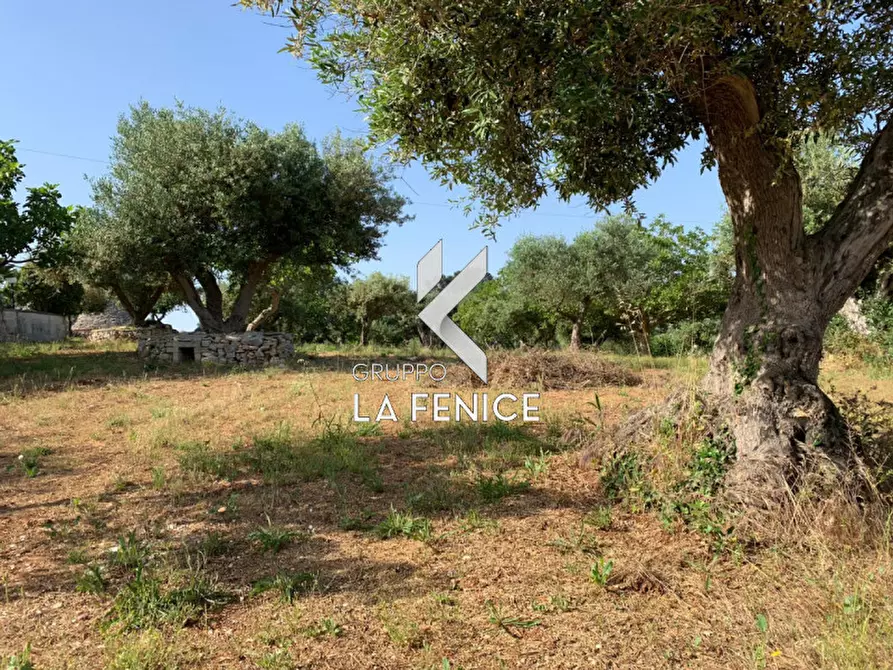 Immagine 13 di Rustico / casale in vendita  in contrada Contini a Locorotondo