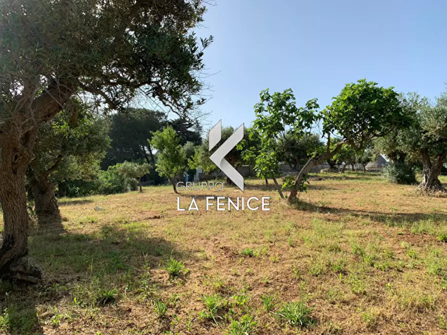 Immagine 14 di Rustico / casale in vendita  in contrada Contini a Locorotondo