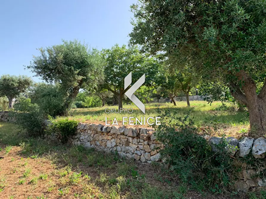 Immagine 15 di Rustico / casale in vendita  in contrada Contini a Locorotondo