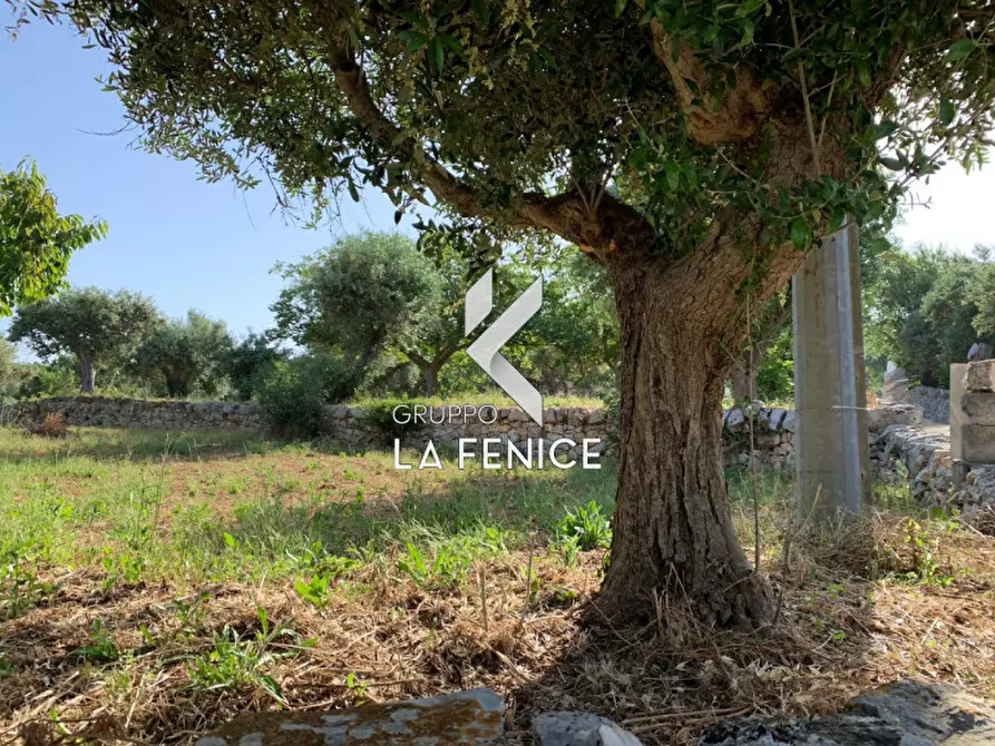 Immagine 16 di Rustico / casale in vendita  in contrada Contini a Locorotondo