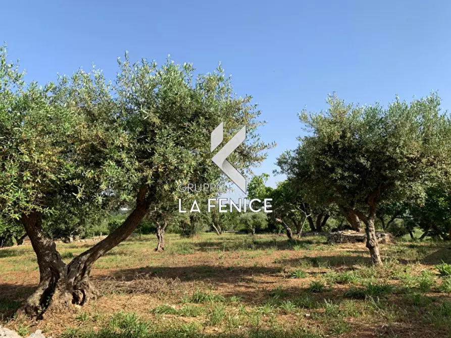 Immagine 17 di Rustico / casale in vendita  in contrada Contini a Locorotondo