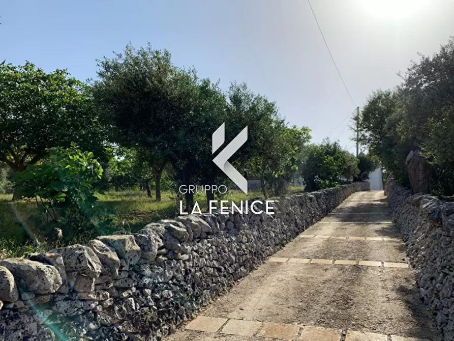 Immagine 18 di Rustico / casale in vendita  in contrada Contini a Locorotondo