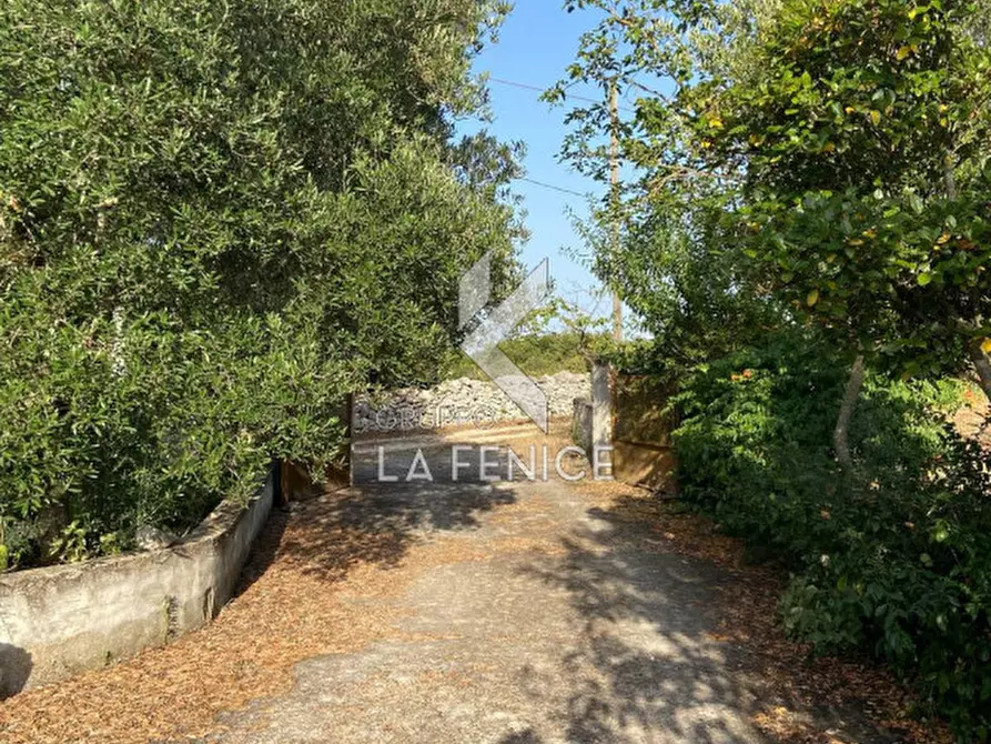 Immagine 3 di Rustico / casale in vendita  in strada delfini a Martina Franca