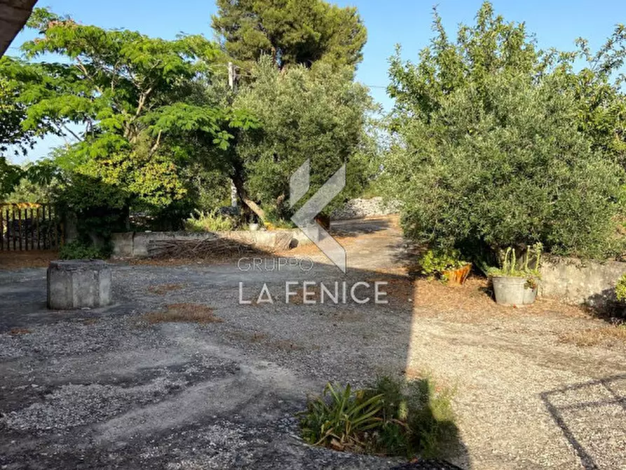 Immagine 4 di Rustico / casale in vendita  in strada delfini a Martina Franca