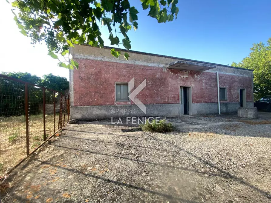 Immagine 6 di Rustico / casale in vendita  in strada delfini a Martina Franca