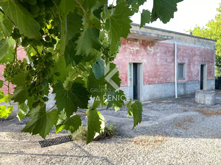 Immagine 7 di Rustico / casale in vendita  in strada delfini a Martina Franca