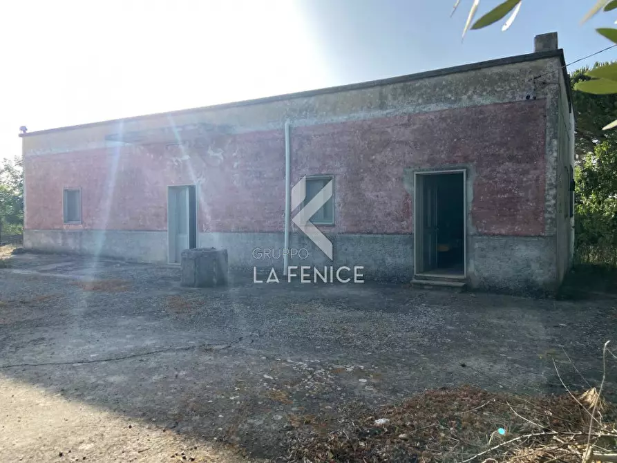 Immagine 8 di Rustico / casale in vendita  in strada delfini a Martina Franca