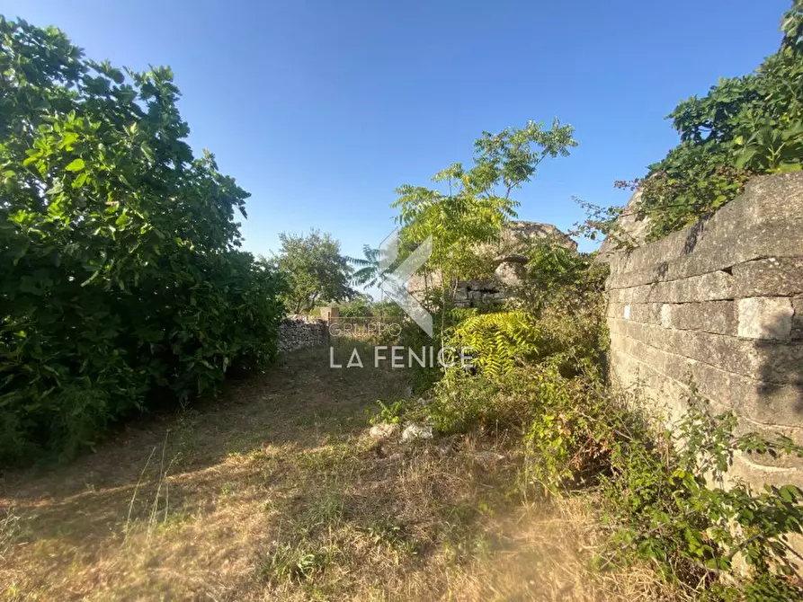 Immagine 25 di Rustico / casale in vendita  in strada delfini a Martina Franca