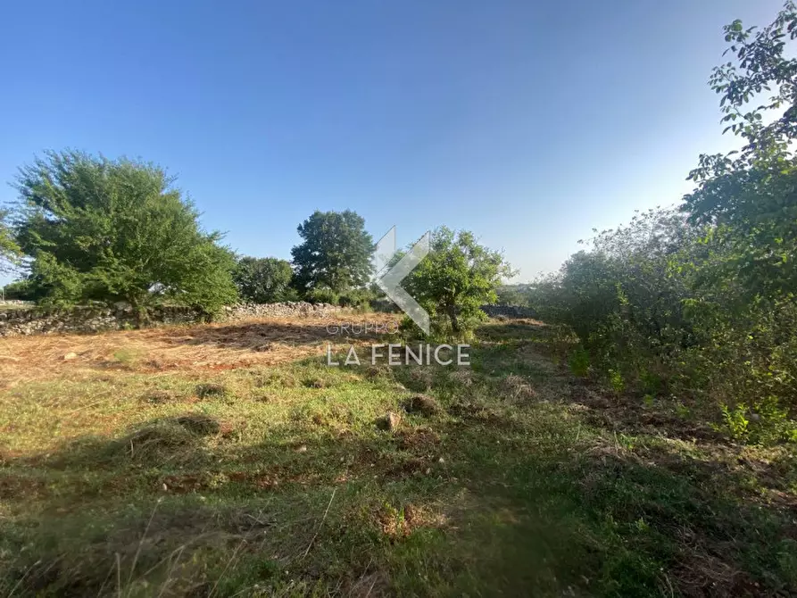 Immagine 26 di Rustico / casale in vendita  in strada delfini a Martina Franca