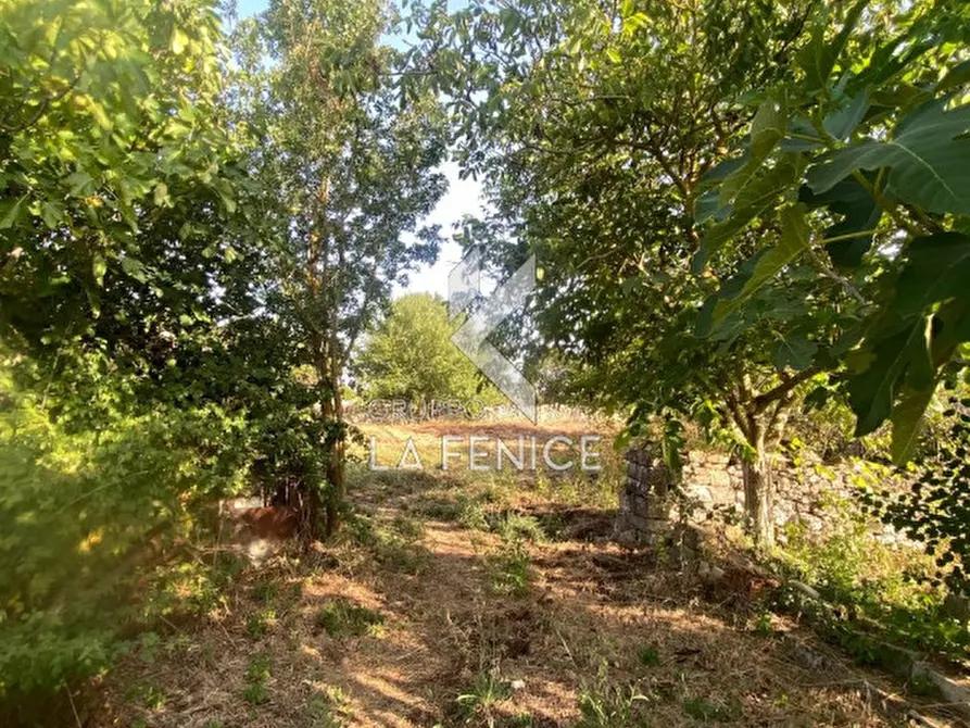 Immagine 27 di Rustico / casale in vendita  in strada delfini a Martina Franca