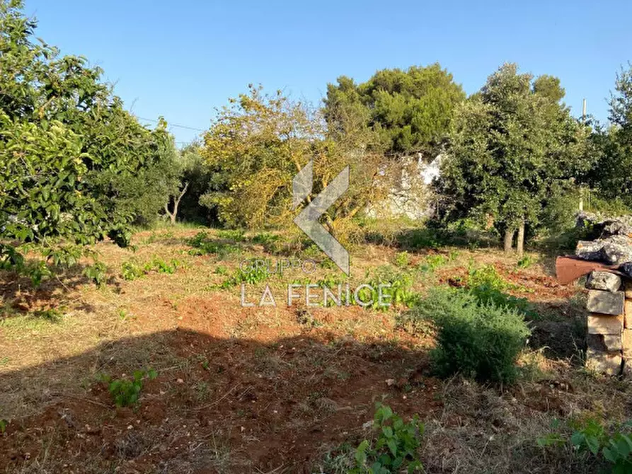 Immagine 28 di Rustico / casale in vendita  in strada delfini a Martina Franca