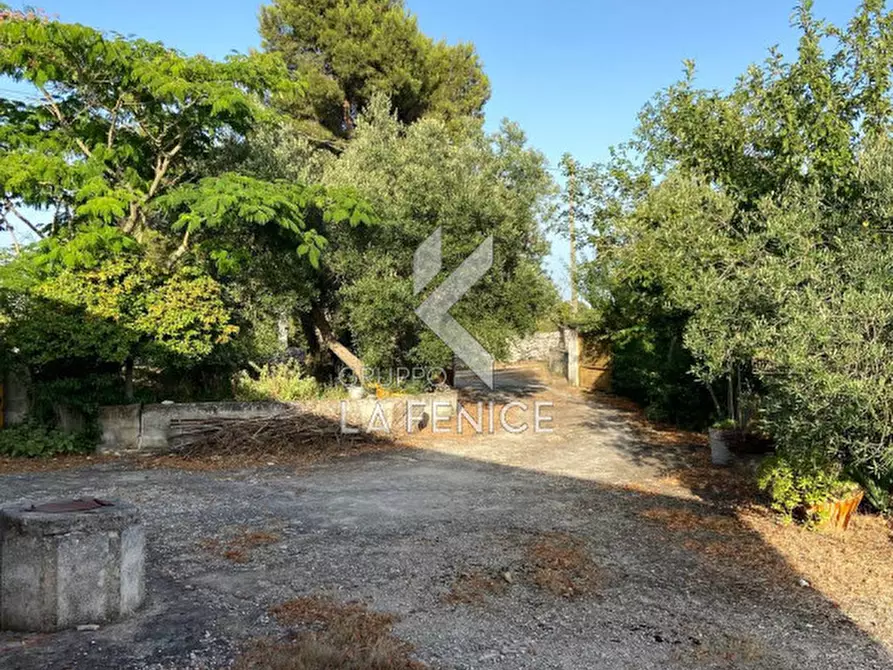 Immagine 29 di Rustico / casale in vendita  in strada delfini a Martina Franca