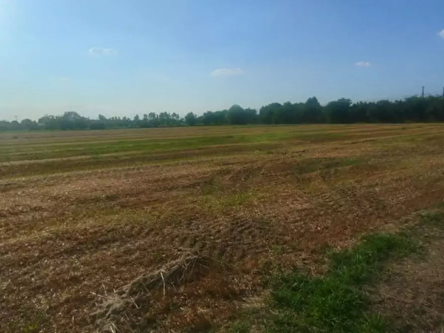 Immagine 2 di Terreno in vendita  a Rubano