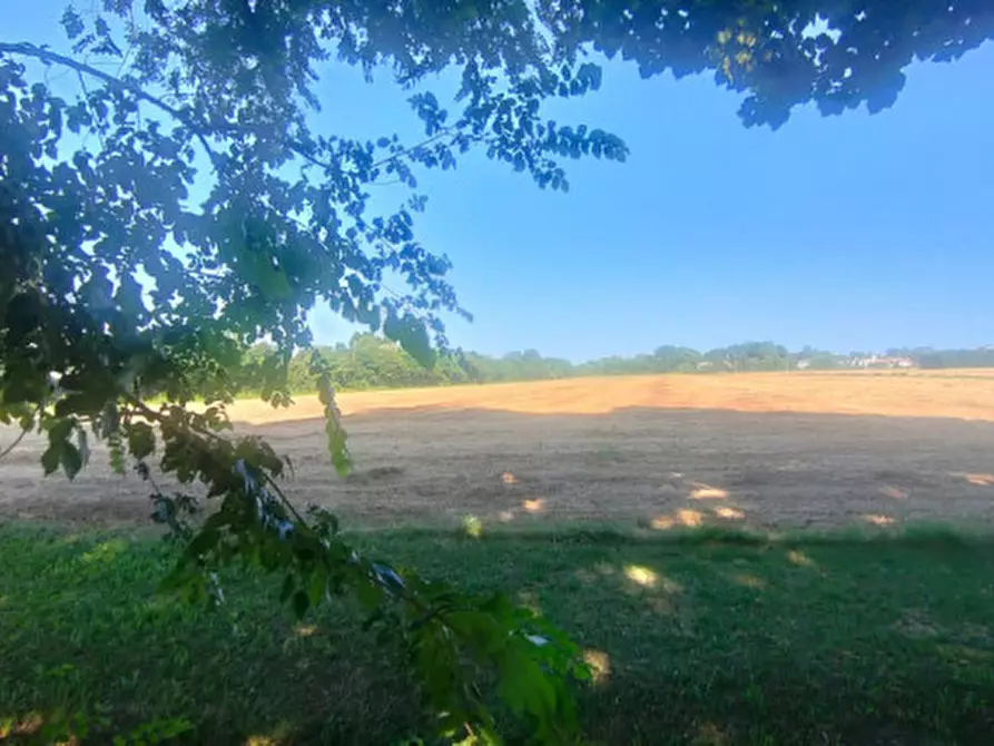 Immagine 4 di Terreno in vendita  a Rubano
