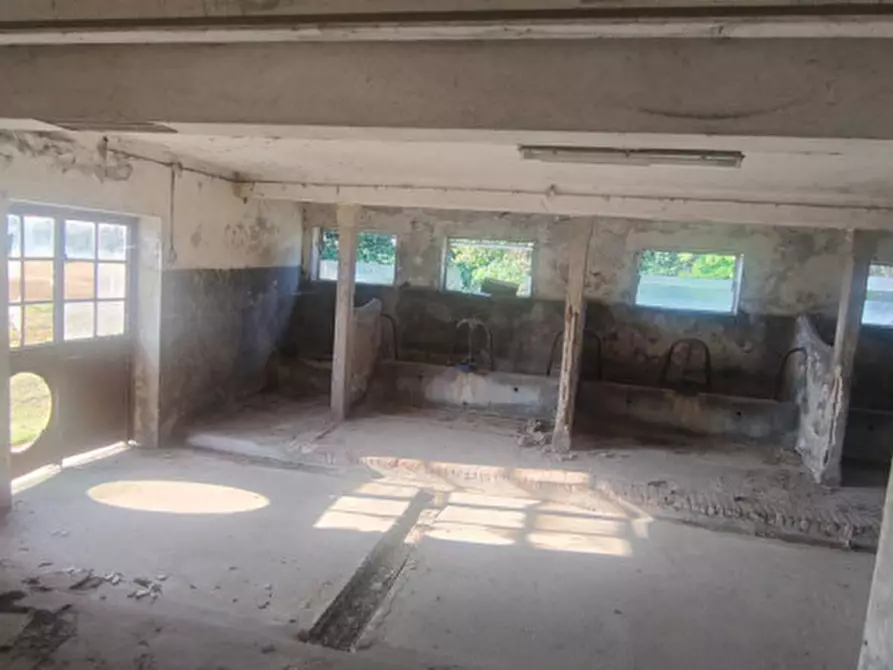 Immagine 9 di Terreno in vendita  a Rubano