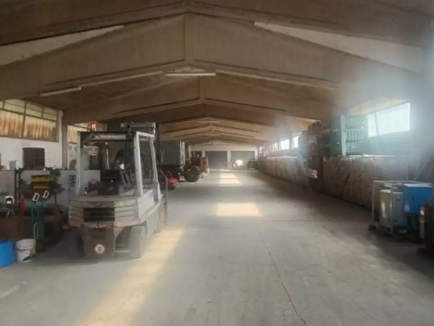 Immagine 13 di Terreno in vendita  a Rubano