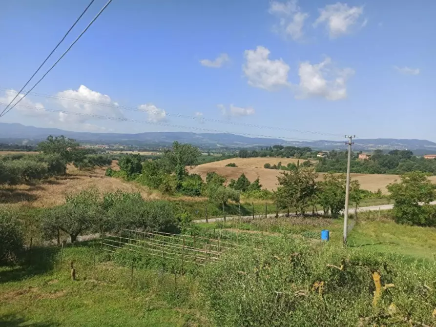 Immagine 23 di Casa indipendente in vendita  in frazione Porto a Castiglione Del Lago