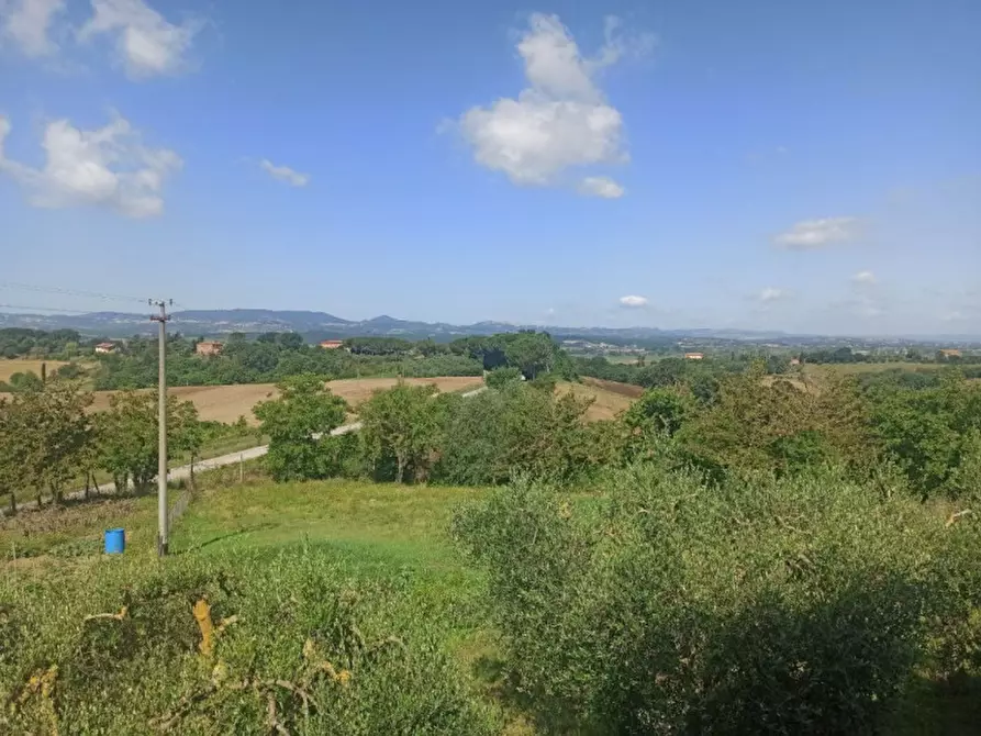 Immagine 24 di Casa indipendente in vendita  in frazione Porto a Castiglione Del Lago