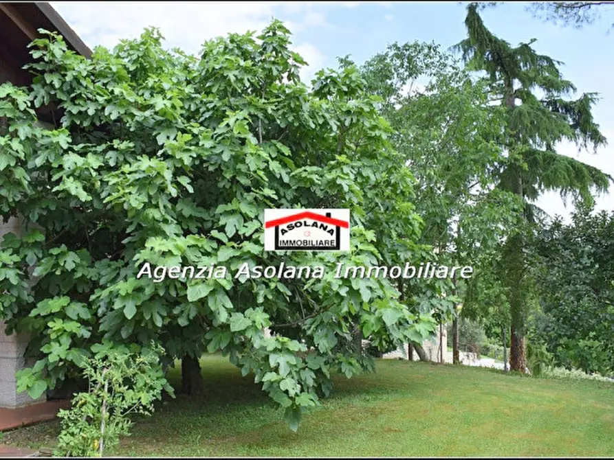 Immagine 32 di Villa in vendita  in via del barbo a Asolo