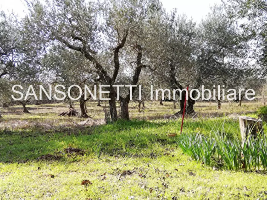 Immagine 21 di Rustico / casale in vendita  in MAW a Locorotondo