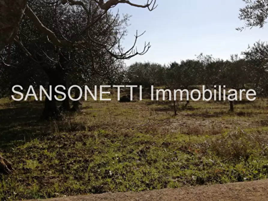 Immagine 22 di Rustico / casale in vendita  in MAW a Locorotondo