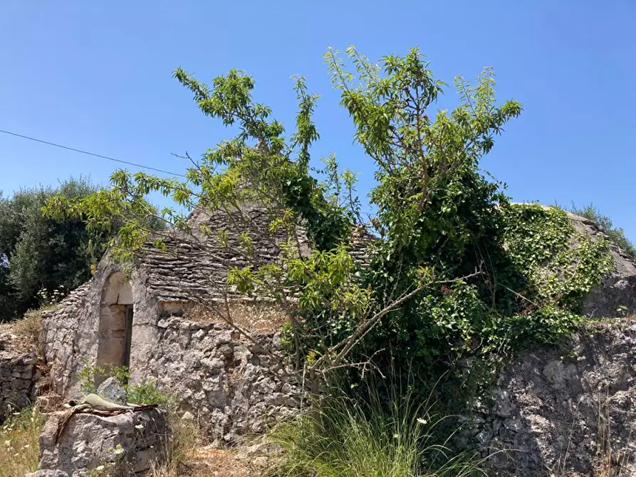 Immagine 1 di Rustico / casale in vendita  in Contrada LA SELVA a Ceglie Messapico