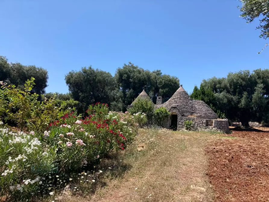 Immagine 1 di Rustico / casale in vendita  in contrada RAPIDAROCCIA a Ostuni