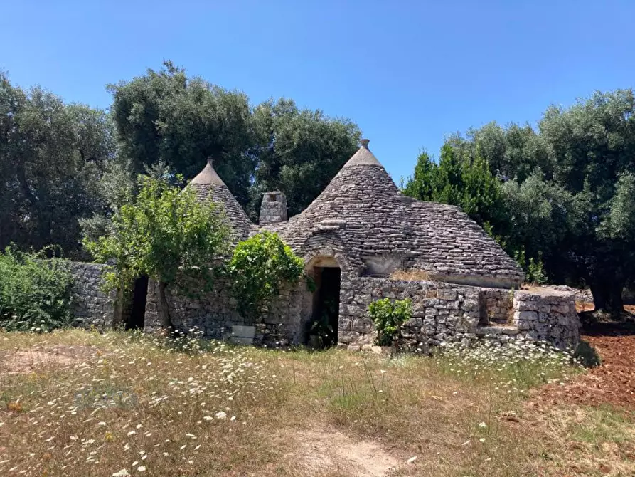 Immagine 2 di Rustico / casale in vendita  in contrada RAPIDAROCCIA a Ostuni