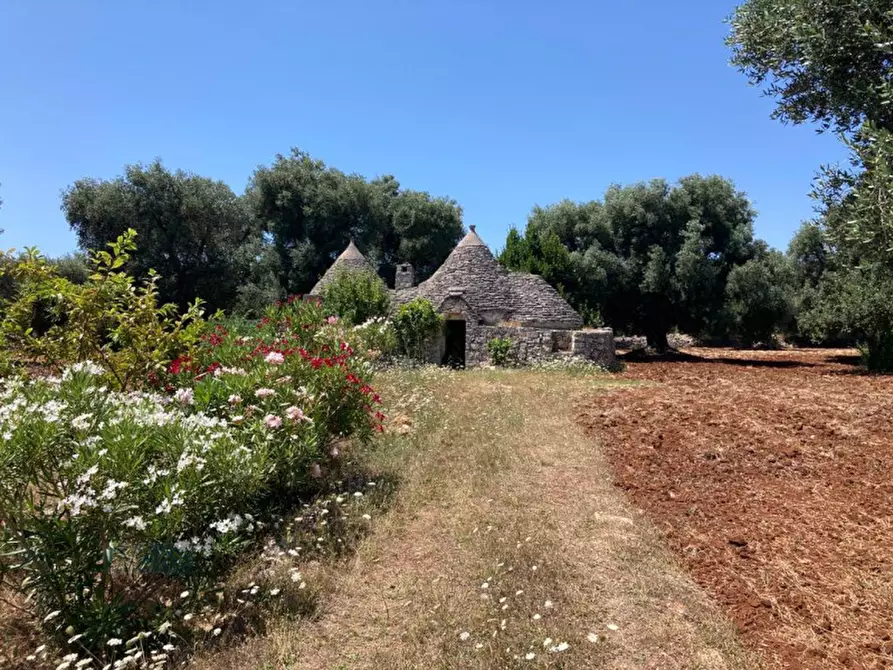 Immagine 3 di Rustico / casale in vendita  in contrada RAPIDAROCCIA a Ostuni
