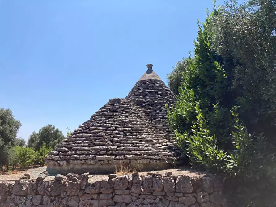 Immagine 4 di Rustico / casale in vendita  in contrada RAPIDAROCCIA a Ostuni