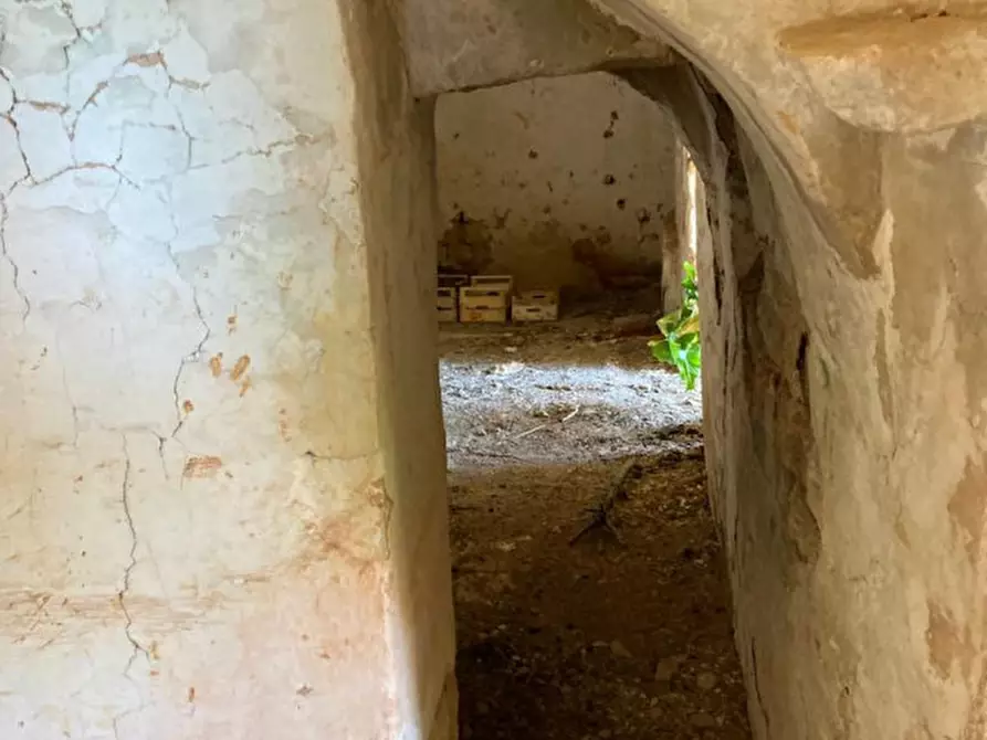 Immagine 5 di Rustico / casale in vendita  in contrada RAPIDAROCCIA a Ostuni