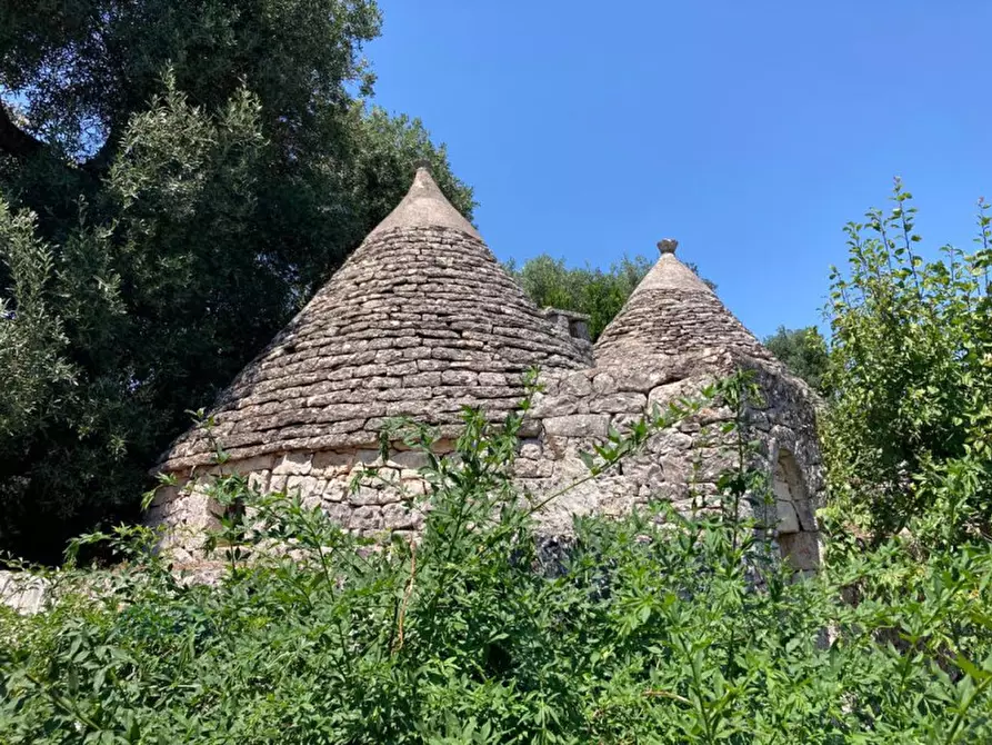 Immagine 6 di Rustico / casale in vendita  in contrada RAPIDAROCCIA a Ostuni