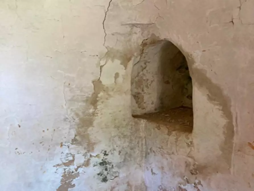 Immagine 7 di Rustico / casale in vendita  in contrada RAPIDAROCCIA a Ostuni