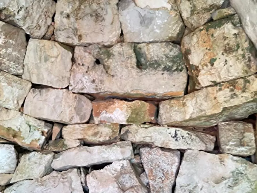 Immagine 8 di Rustico / casale in vendita  in contrada RAPIDAROCCIA a Ostuni
