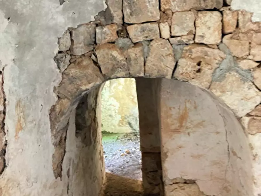 Immagine 14 di Rustico / casale in vendita  in contrada RAPIDAROCCIA a Ostuni