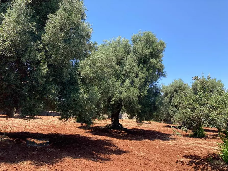 Immagine 19 di Rustico / casale in vendita  in contrada RAPIDAROCCIA a Ostuni