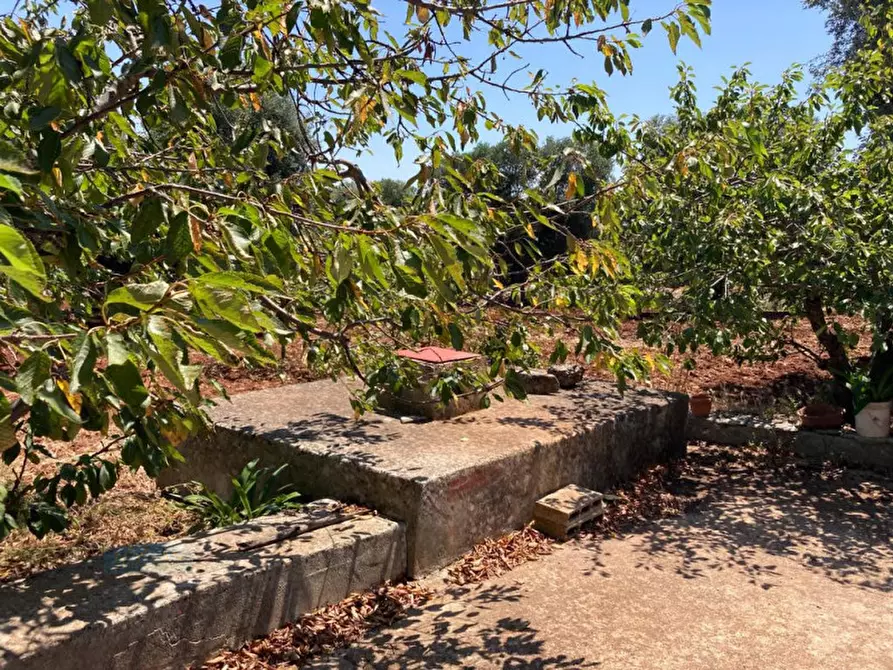 Immagine 21 di Rustico / casale in vendita  in contrada RAPIDAROCCIA a Ostuni