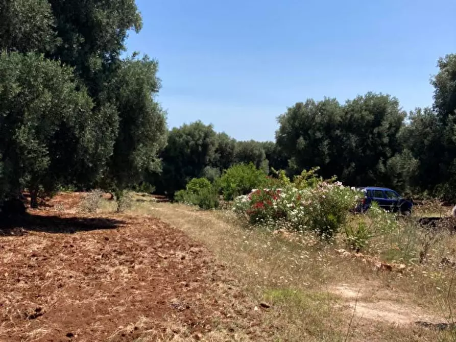 Immagine 22 di Rustico / casale in vendita  in contrada RAPIDAROCCIA a Ostuni