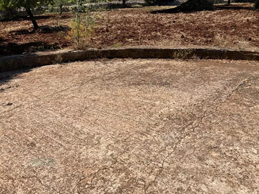 Immagine 23 di Rustico / casale in vendita  in contrada RAPIDAROCCIA a Ostuni