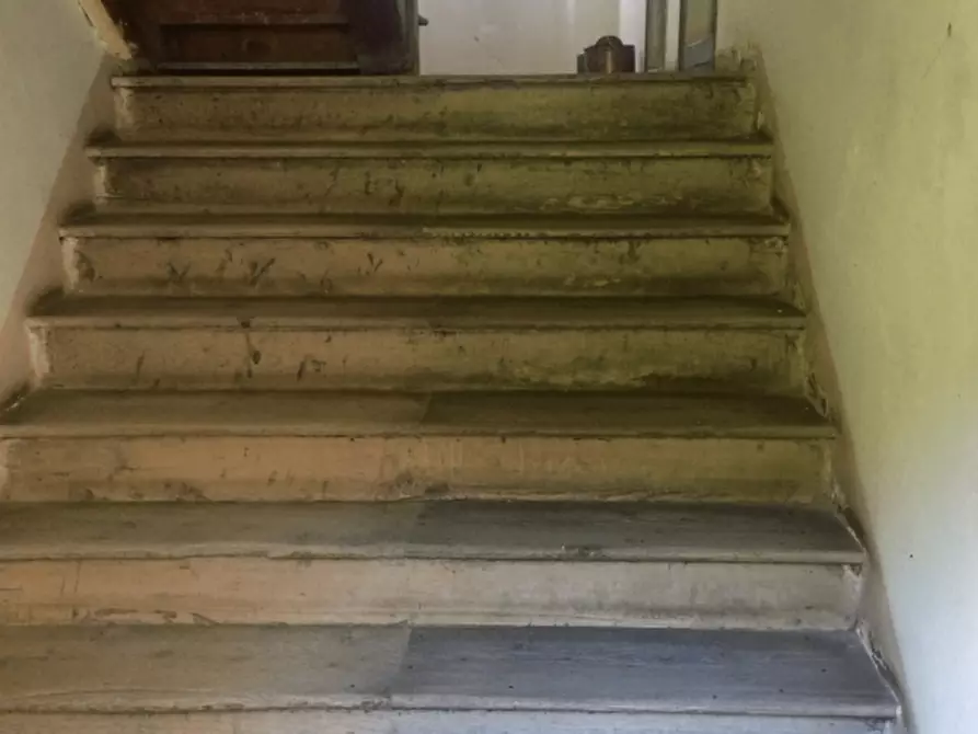 Immagine 3 di Casa indipendente in vendita  a Cibiana Di Cadore