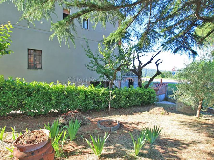 Immagine 3 di Casa indipendente in vendita  in Via del Leccetello a Trequanda