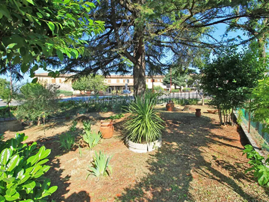 Immagine 29 di Casa indipendente in vendita  in Via del Leccetello a Trequanda