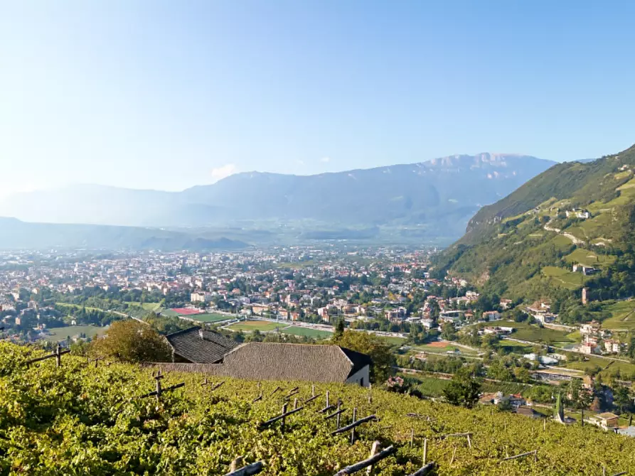 Immagine 2 di Attività commerciale in vendita  in Gries a Bolzano