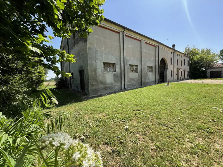 Immagine 3 di Rustico / casale in vendita  a Suzzara