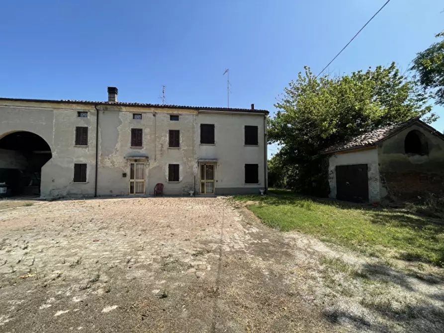 Immagine 6 di Rustico / casale in vendita  a Suzzara
