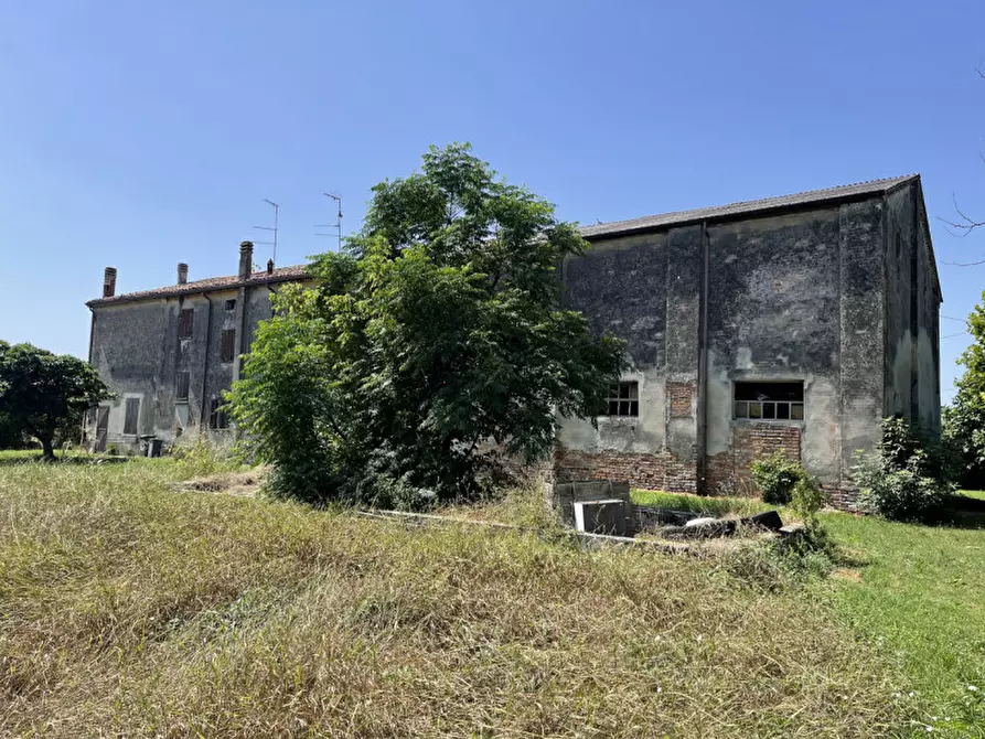 Immagine 12 di Rustico / casale in vendita  a Suzzara
