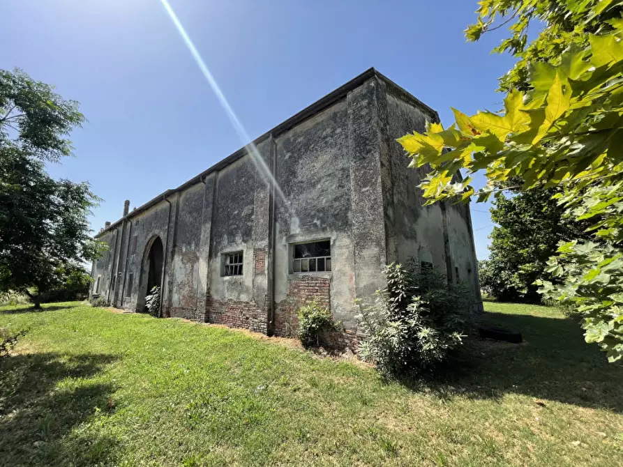 Immagine 13 di Rustico / casale in vendita  a Suzzara