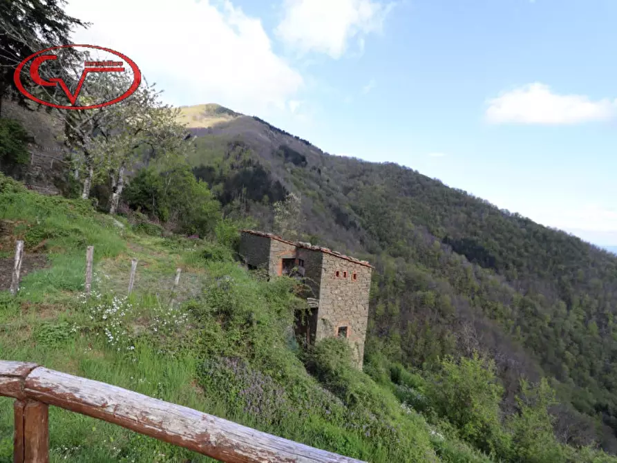 Immagine 3 di Casa indipendente in vendita  in rocca ricciarda a Loro Ciuffenna