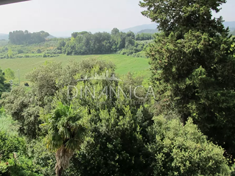 Immagine 8 di Villa in vendita  a Casciana Terme Lari